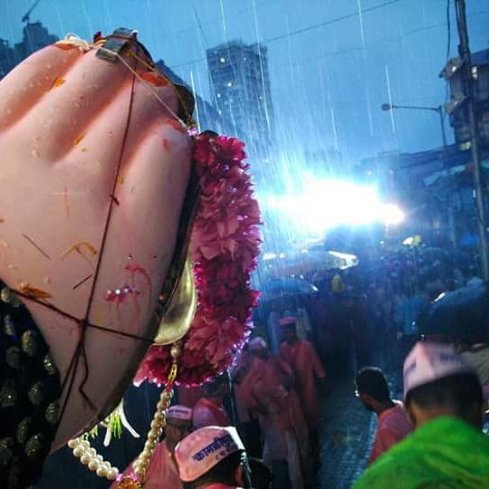 2017 Festival Memory 2 — 2017