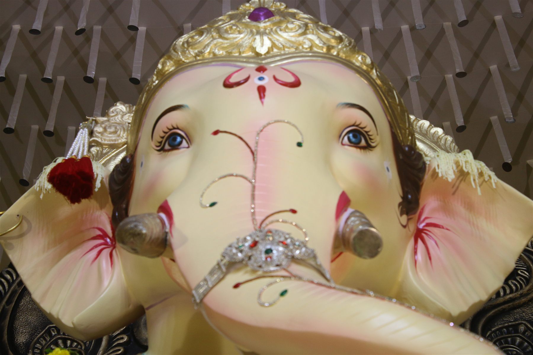 Close-up Darshan — 2019