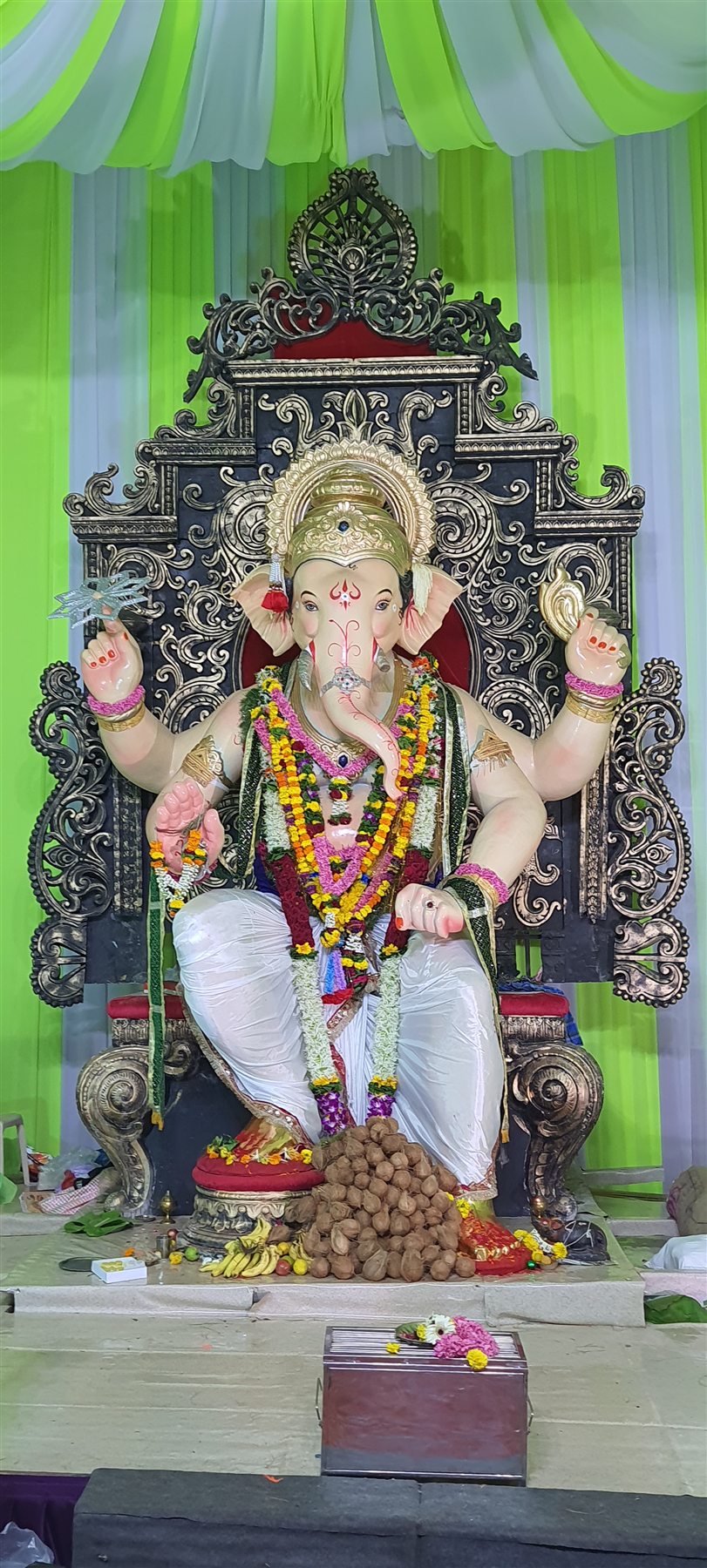 Divine Maharaja Darshan — 2022