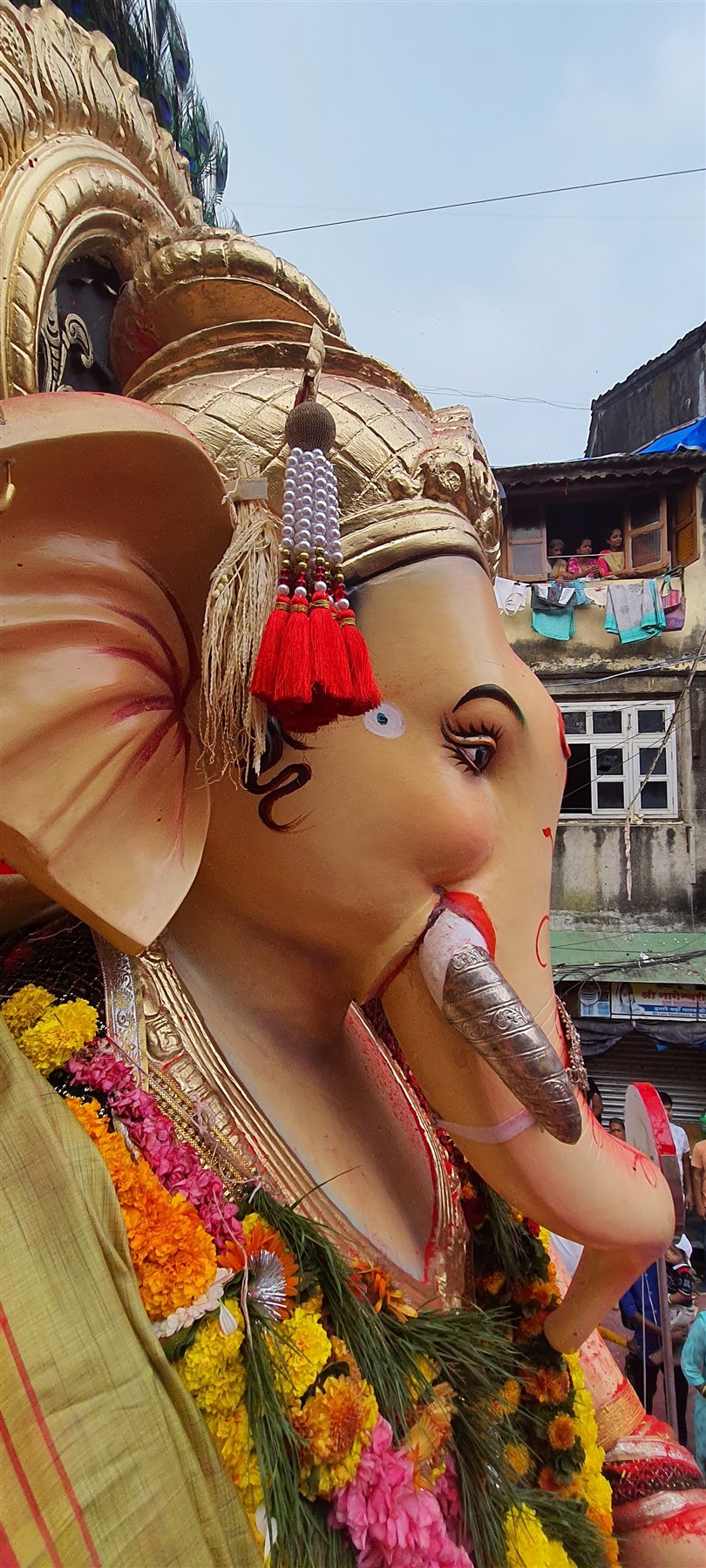 Maharaja's Graceful Profile — 2022