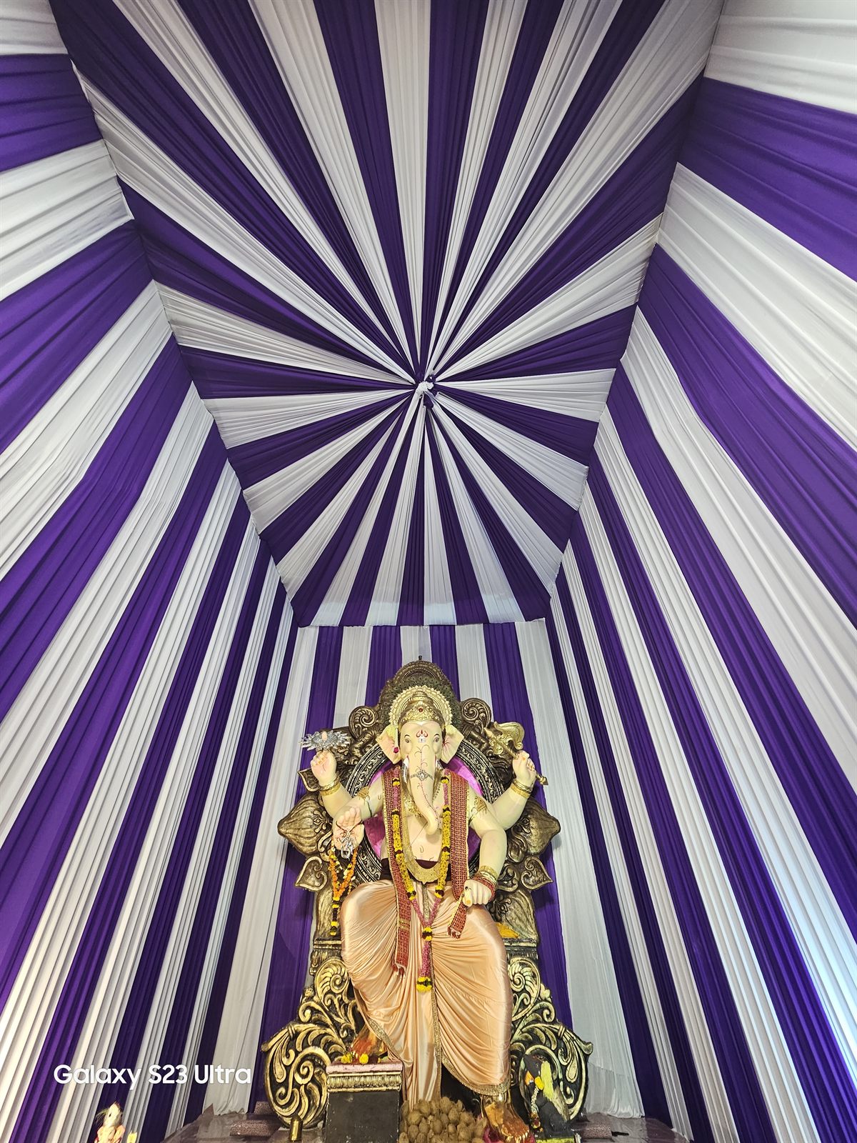 2023 Festival Memory 39 — 2023