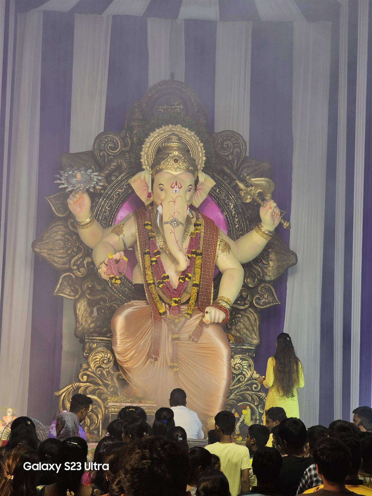 2023 Festival Memory 54 — 2023