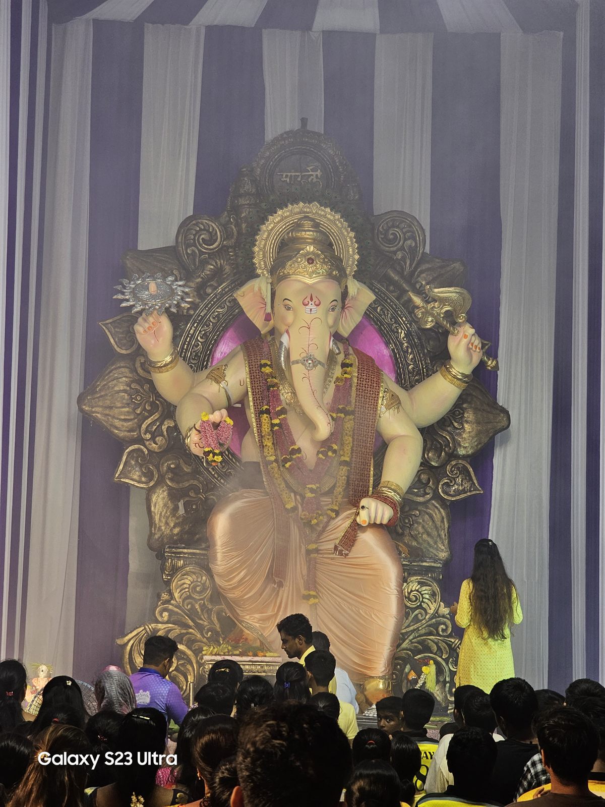 2023 Festival Memory 55 — 2023
