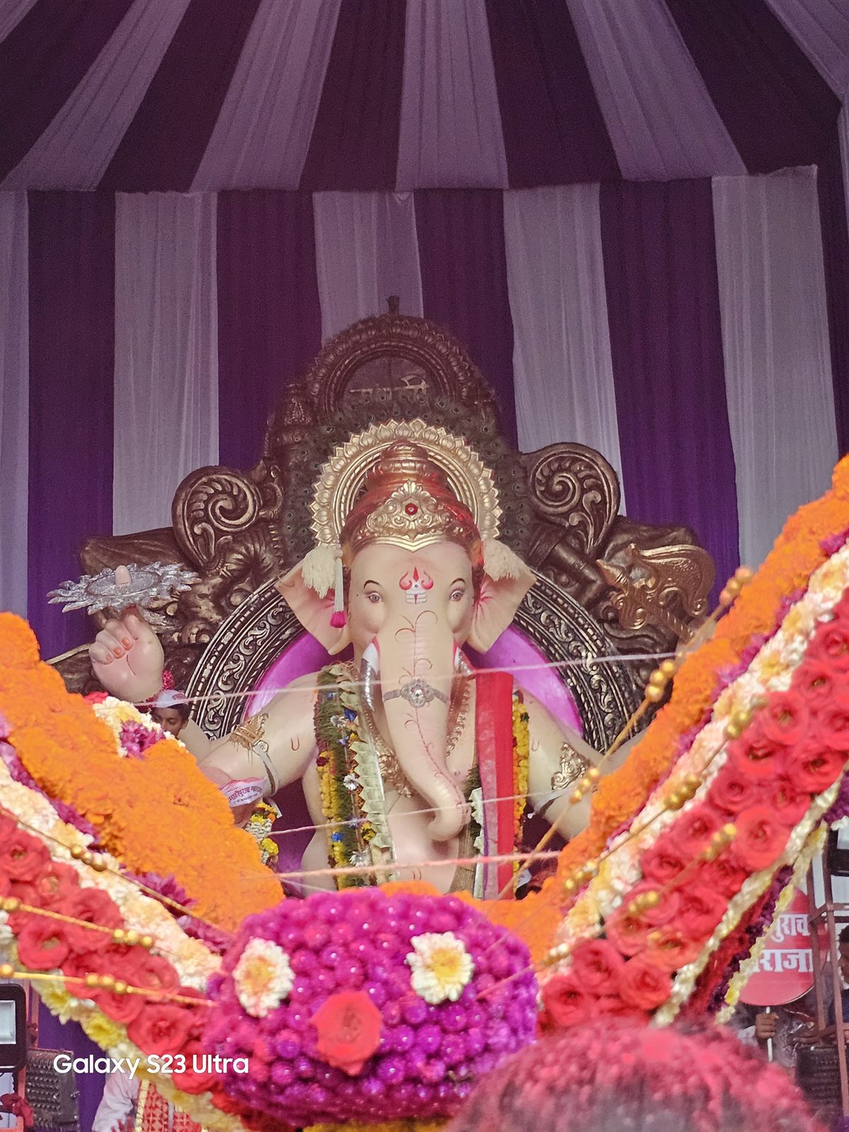 2023 Festival Memory 99 — 2023