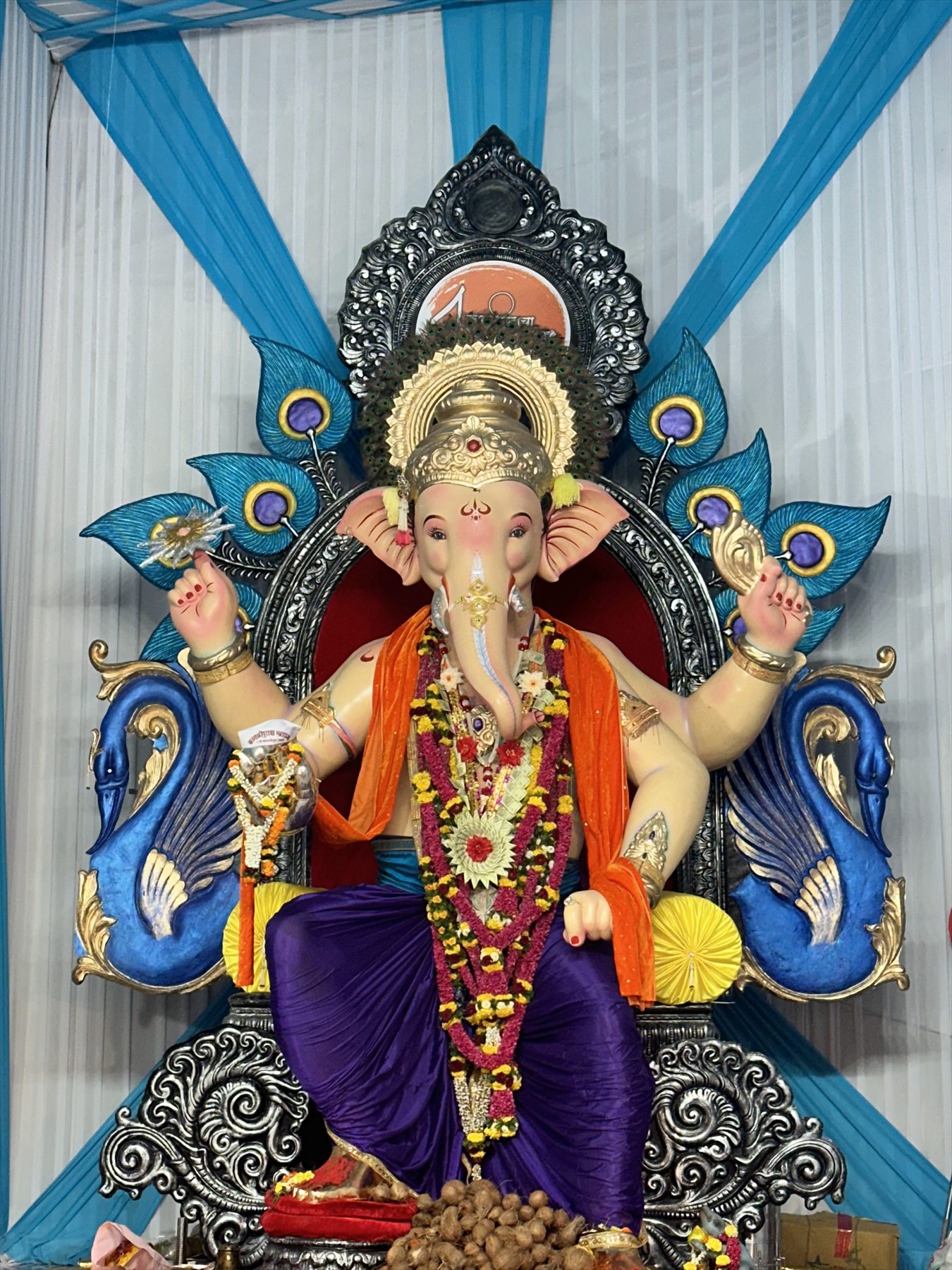 Grand Maharaja Darshan — 2024