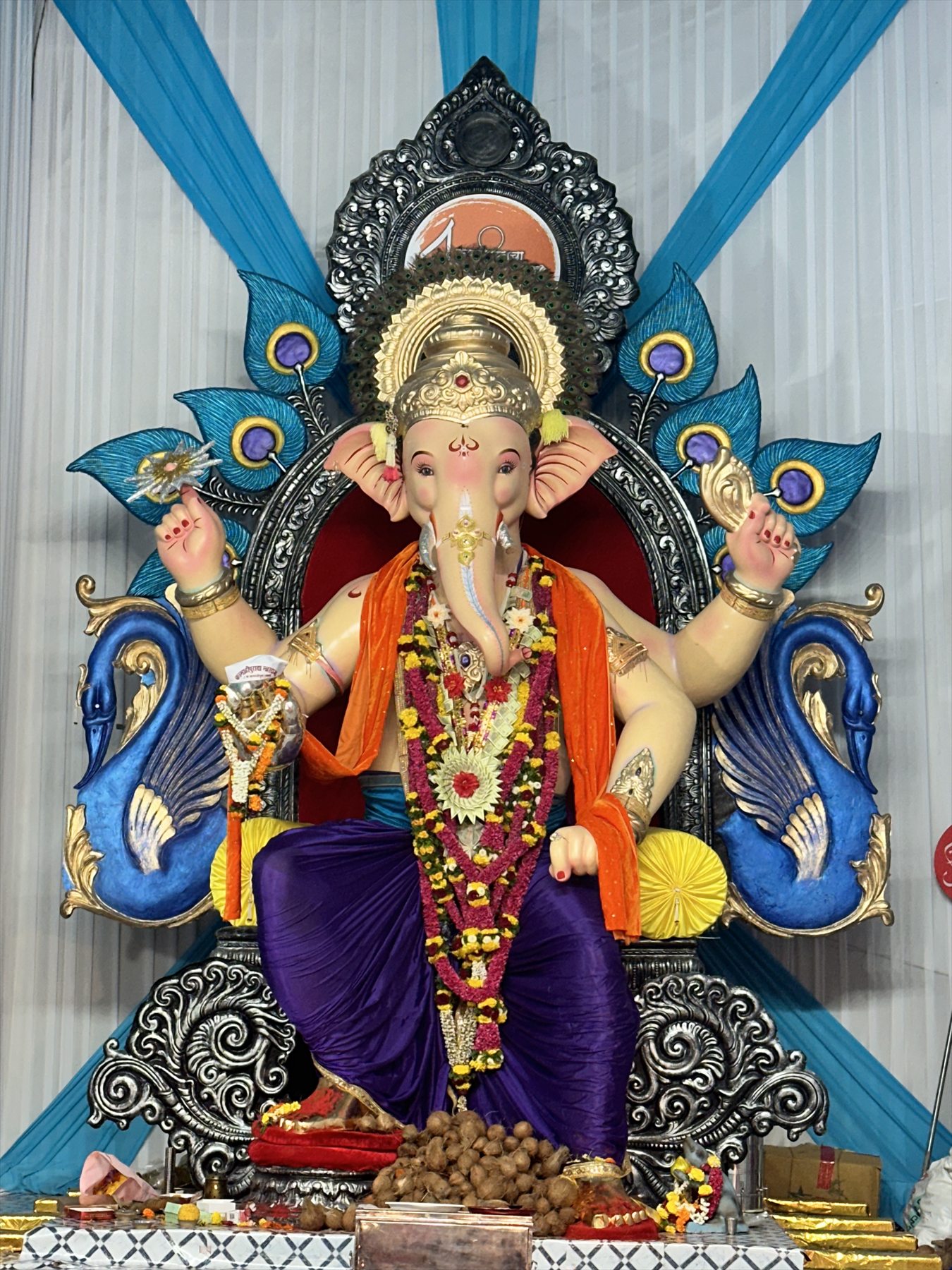 Royal Festival Darshan — 2024