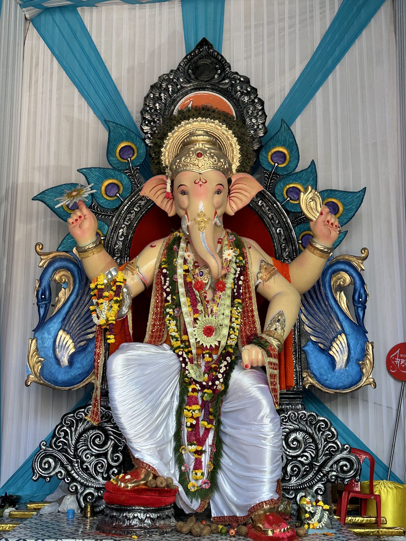 Sacred Full Darshan — 2024