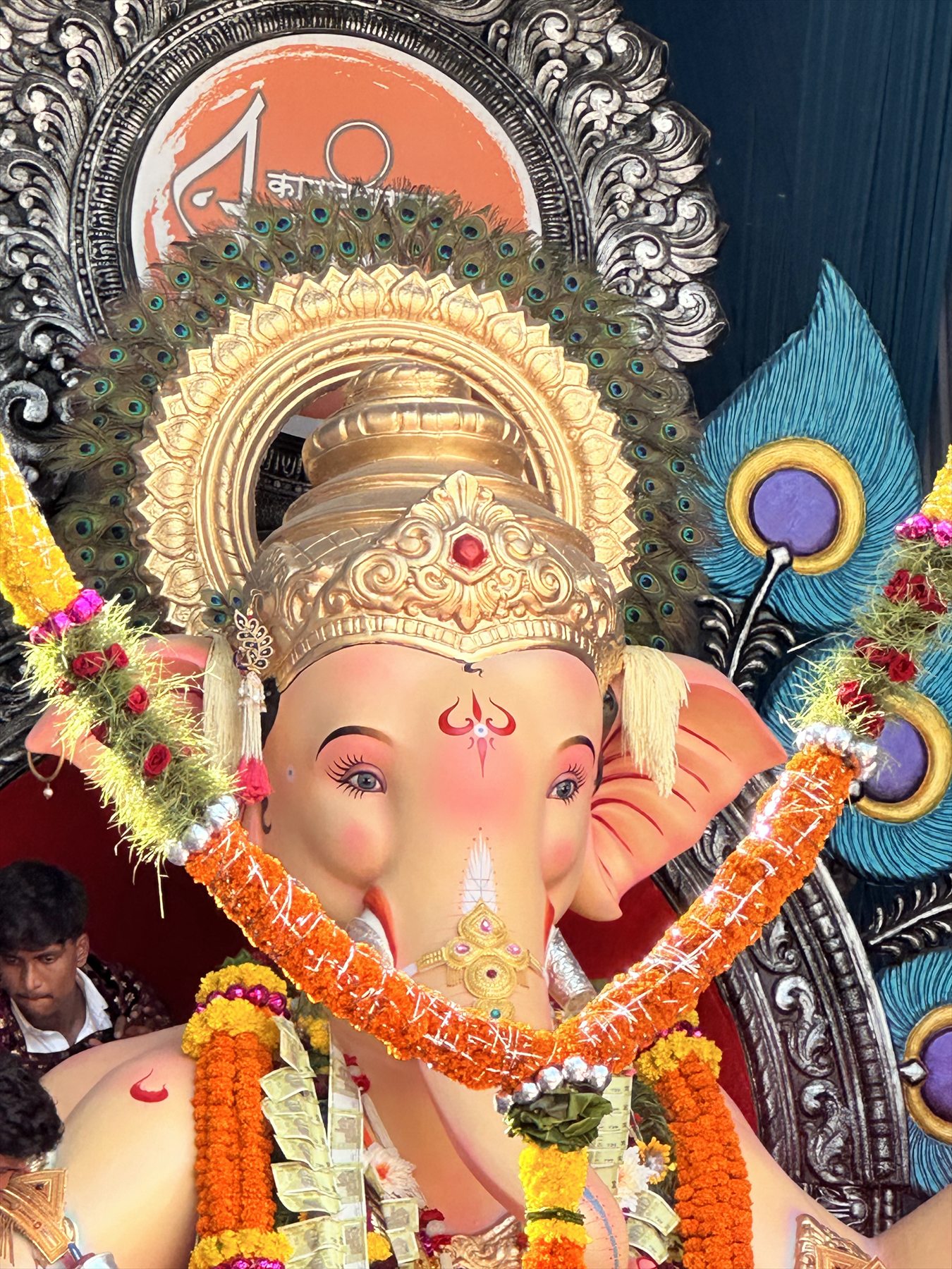 The Adorned Maharaja — 2024