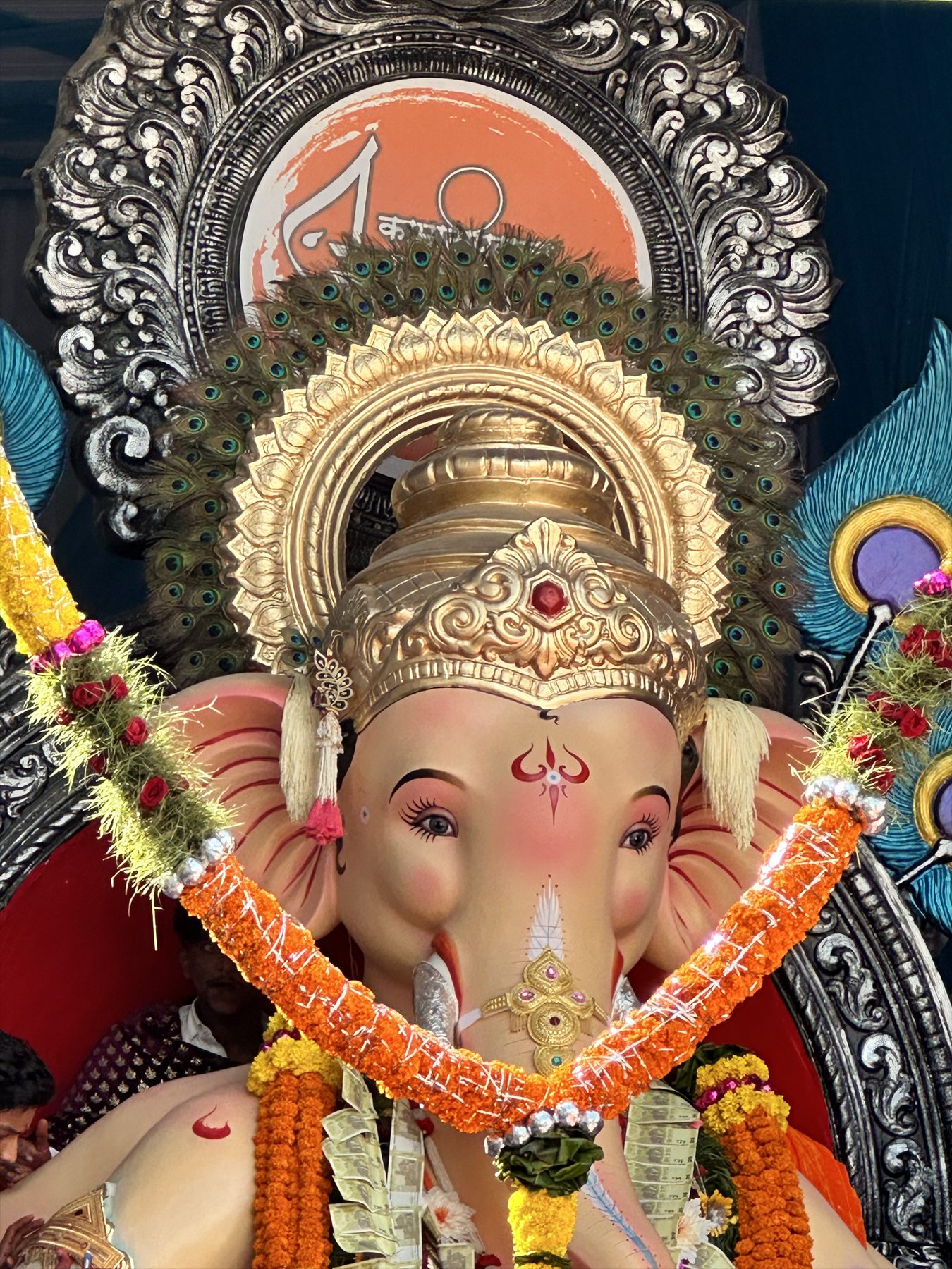 The Radiant Maharaja — 2024