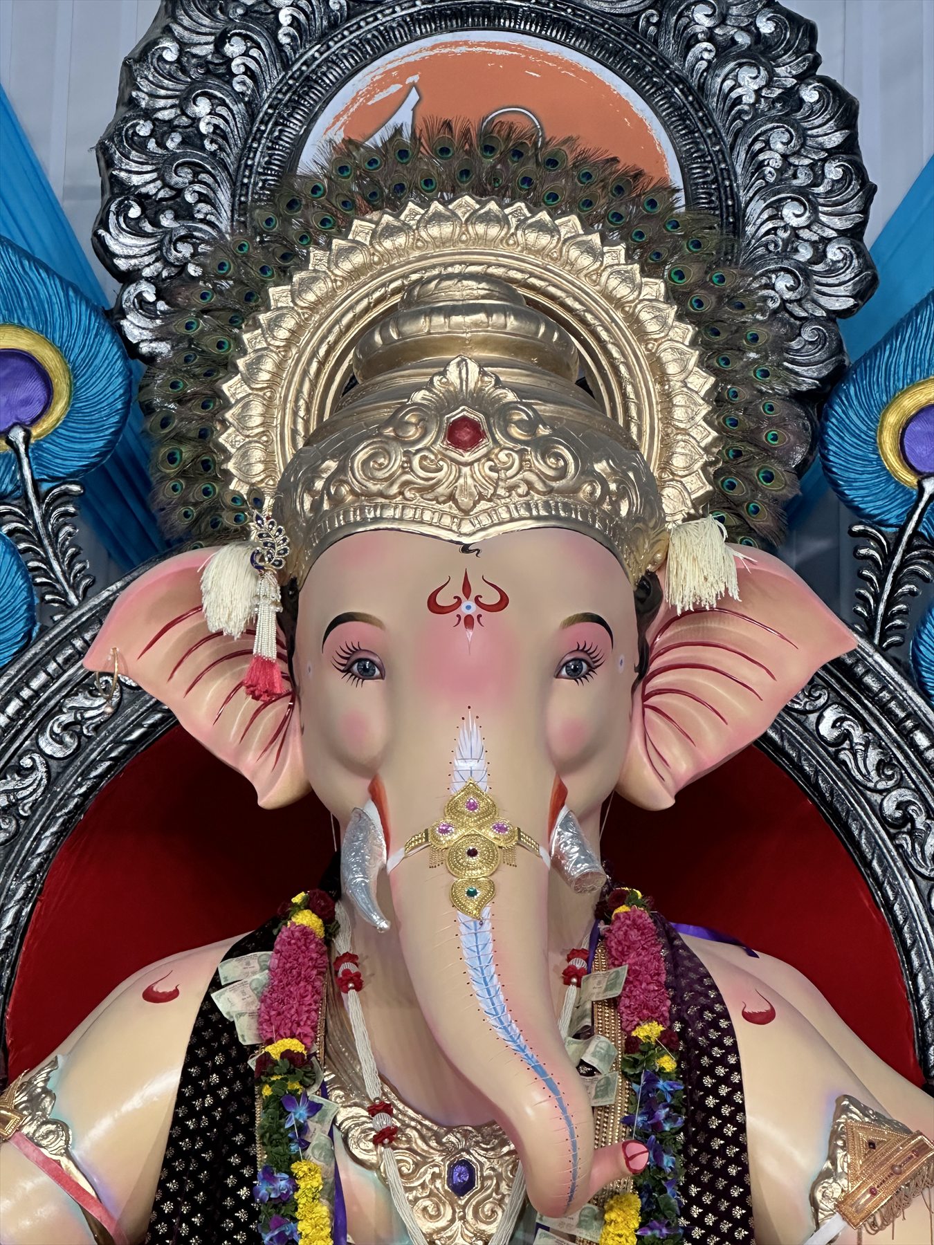 Blessed Darshan — 2024