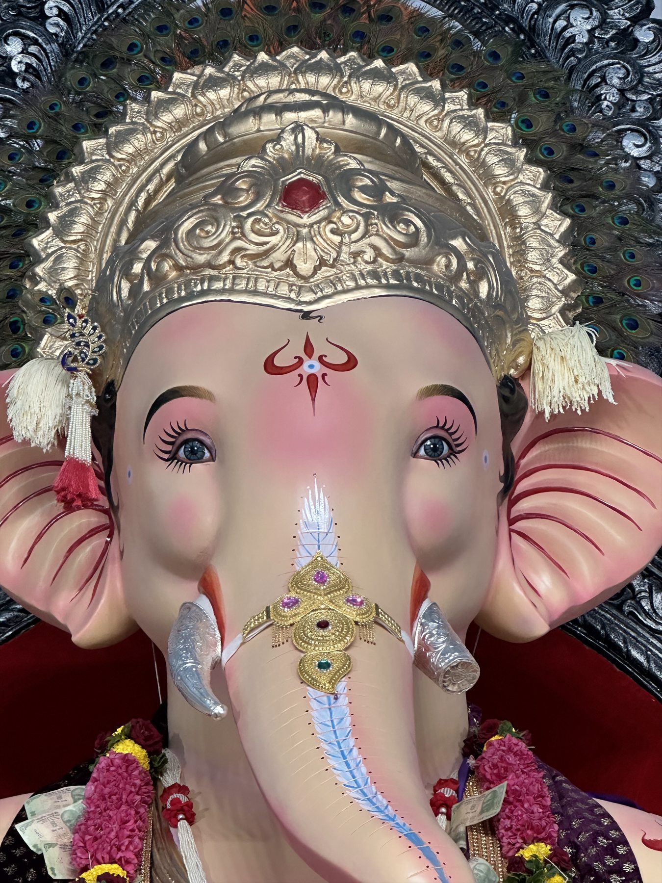 A Close-up Blessing — 2024