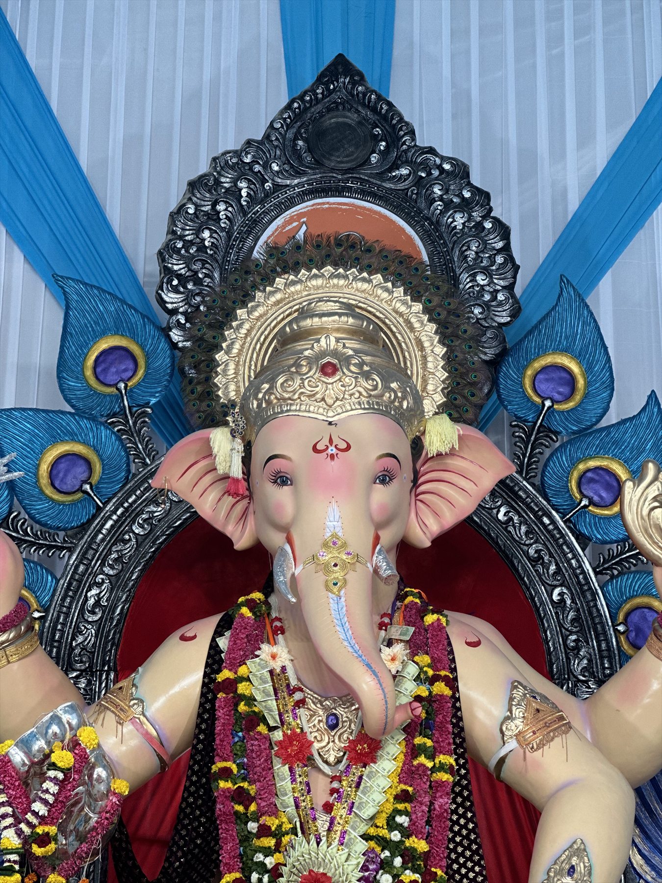 Serene Maharaja Darshan — 2024