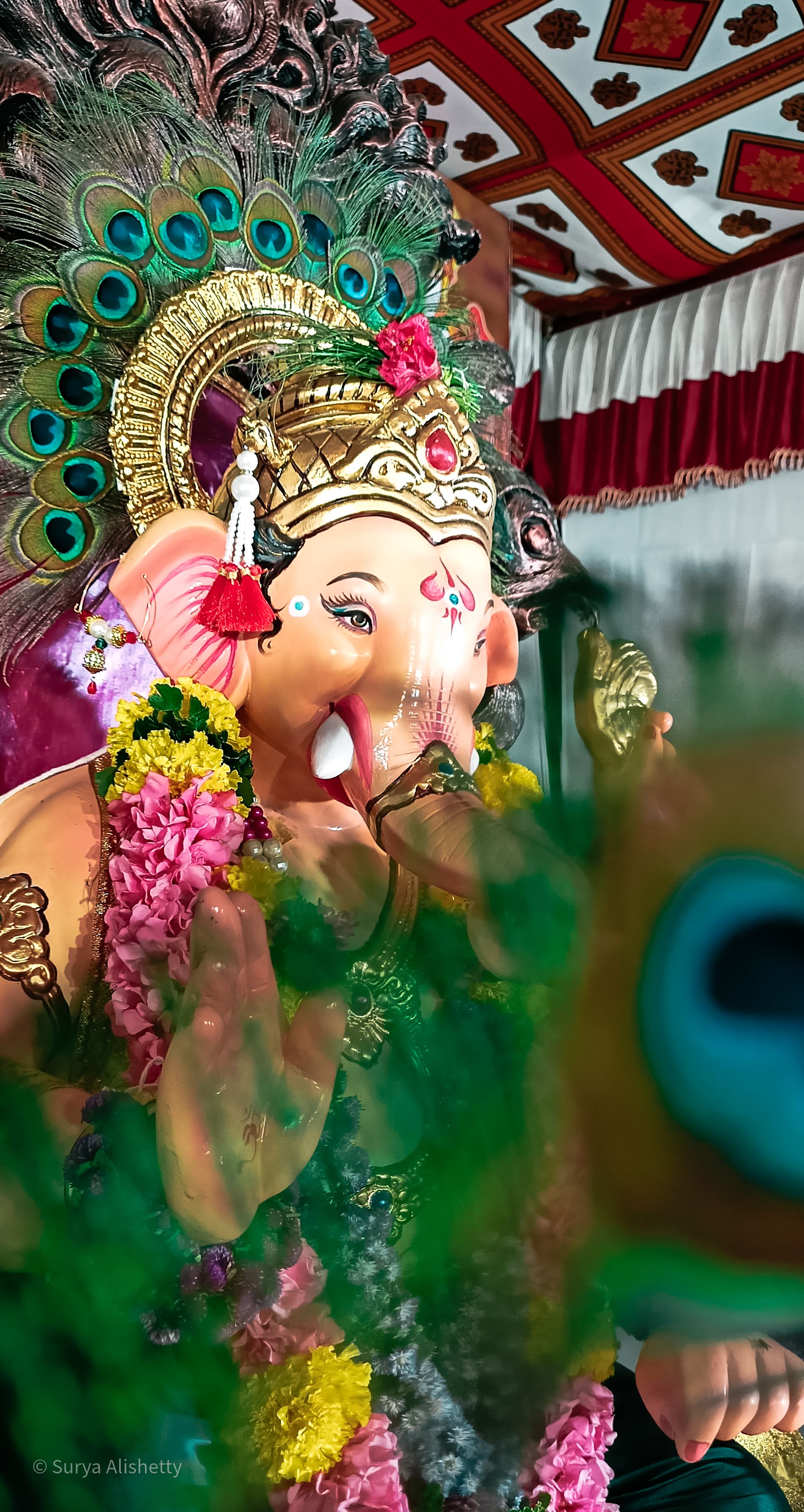 Divine Maharaja Darshan — 2021